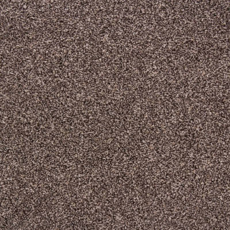 Dalesman Twist Felt Back Carpets - Shingle