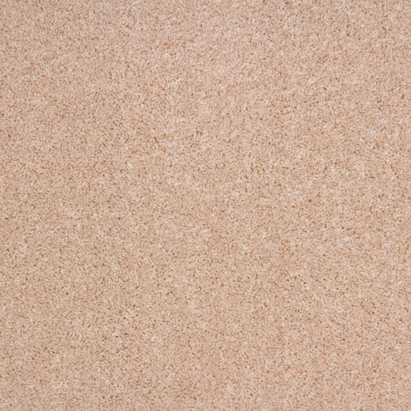 Dalesman Twist Felt Back Carpets - Beige