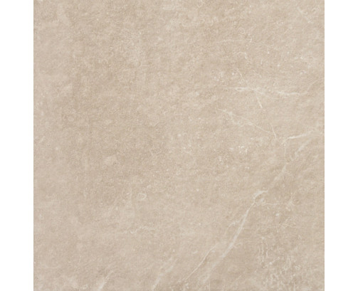 Eternal 60x60x2 Stone Matt R11