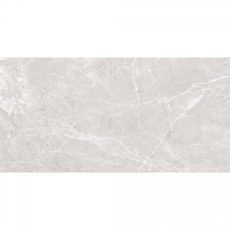 Paradise 60x120 Silver Polished