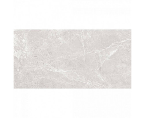 Paradise 60x120 Silver Polished