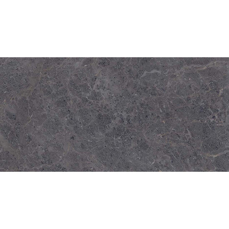 Fossil 30x60 Anthracite Polished