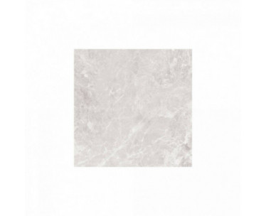 Paradise 60x60 Silver Polished