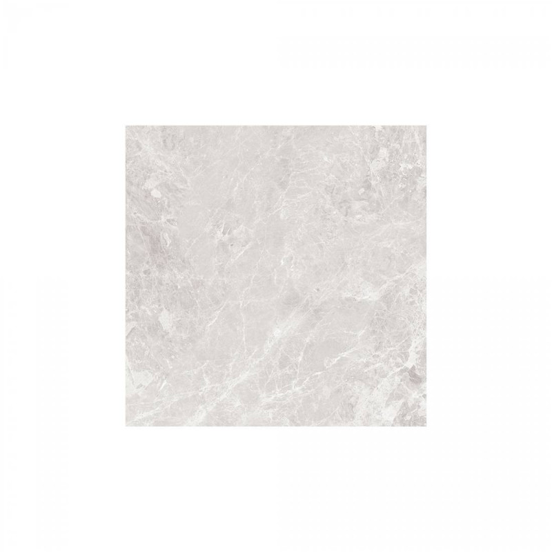 Paradise 60x60 Silver Polished