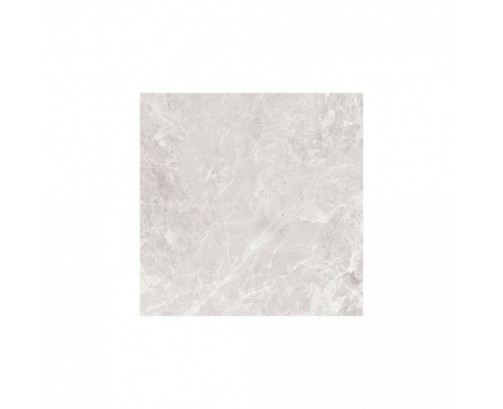 Paradise 60x60 Silver Polished