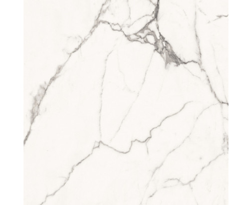 Superb Statuario 60x60 White Polished