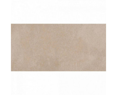 Autumn 30x60 Dark Beige Gloss