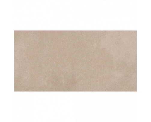 Autumn 30x60 Dark Beige Gloss