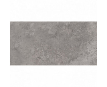 Roma 30x60 Grey Gloss