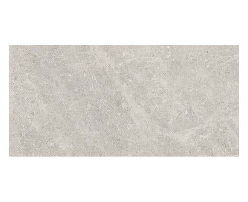 Fossil 30x60 Grey Polished