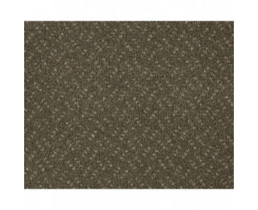 Scala Classic Carpet - Cornstalk 420 4m