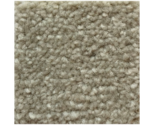 Aston Twist Carpet - 125 Sandshell