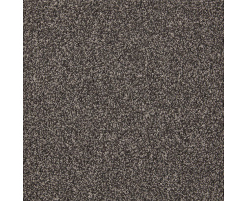 Inglewood Saxony Carpet - Carbon