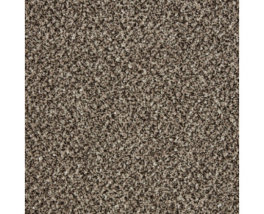 Primo Tweeds Carpet - Rock Heath