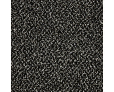 Primo Tweeds Carpet - Ebony