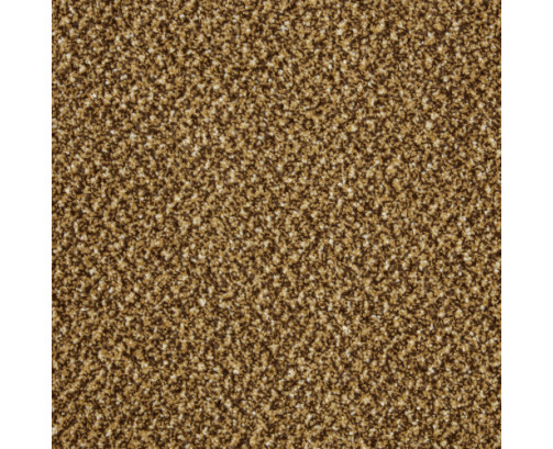 Primo Tweeds Carpet - Butterscotch