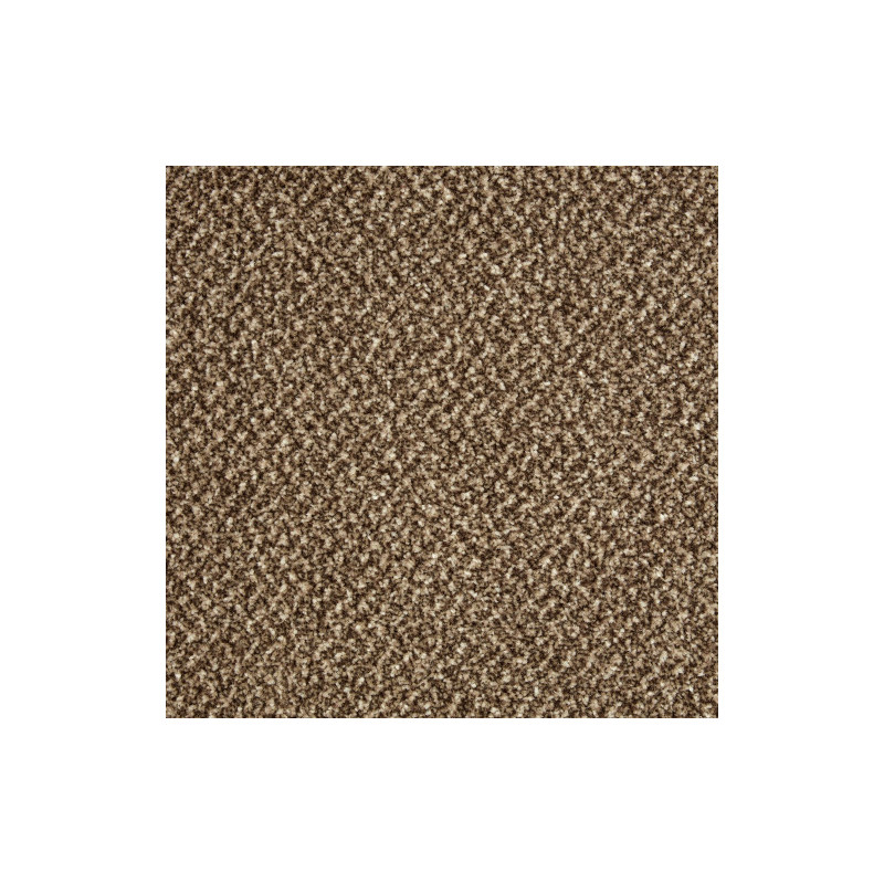 Primo Tweeds Carpet - Brownstone