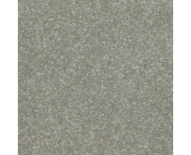 Riva Carpet - Dolphin