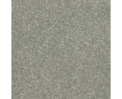 Riva Carpet - Dolphin