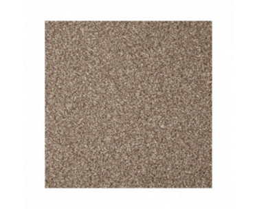 Cormar Primo Grande Carpets - Beaver