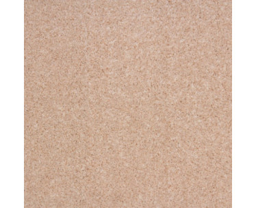 Dalesman Twist Felt Back Carpets - Beige