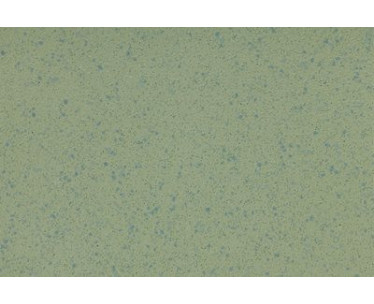 Altro Aquarius Vinyl - Treefrog