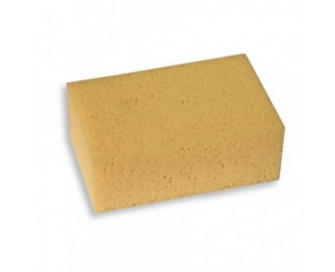 Genesis Sponges - Professional Sponge (160 x 110 x 62mm)