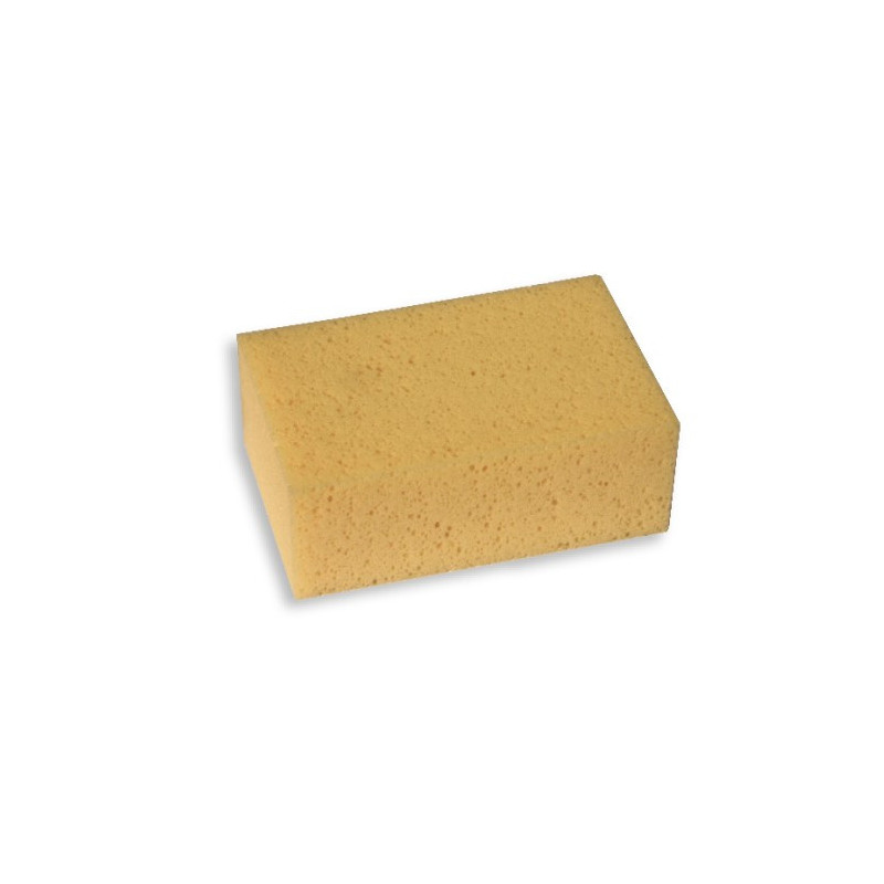 Genesis Sponges - Professional Sponge (160 x 110 x 62mm)