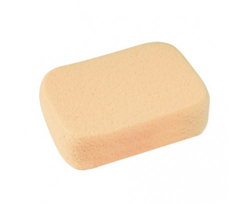 Genesis Sponges - Large Hydro Sponge (200 x 150 x 60mm)