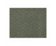 Scala Classic Carpet - Barley 480 4m