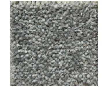 Aston Twist Carpet - 725 Frost Grey