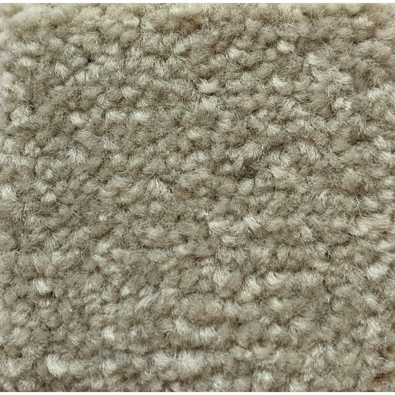 Aston Twist Carpet - 125 Sandshell