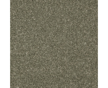 Inglewood Saxony Carpet - Willow