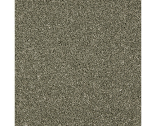 Inglewood Saxony Carpet - Willow