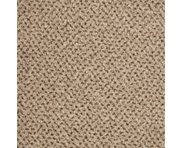 Primo Tweeds Carpet - Westwood Beige