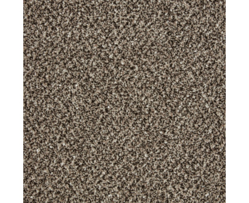 Primo Tweeds Carpet - Rock Heath