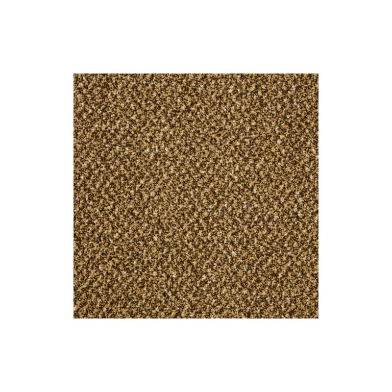 Primo Tweeds Carpet - Butterscotch