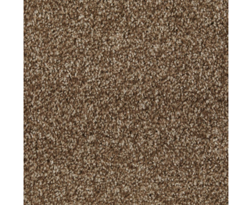 Maylands 4m Carpet - Beige