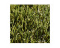 Easy Lawn Artificial Grass - Botanic