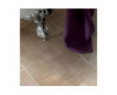 Polyflor Colonia Vinyl - Glazed Metalstone 4533 (PLANK 2)