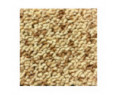 Maxted Carpet Tiles - Sandstone