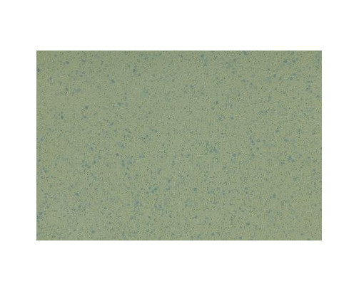 Altro Aquarius Vinyl - Treefrog