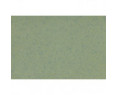 Altro Aquarius Vinyl - Treefrog