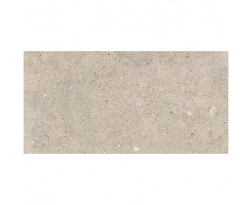 Ground Matt Porcelain 60x30 - Greige